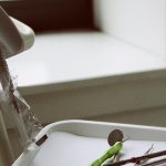 ¿Cuánto cuesta una endodoncia? Precios